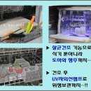 동양매직SK매직렌탈 - 562 | 동양매직SK매직렌탈