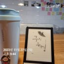 홀로 여행 7박 8일 후기(목포&amp;제주)