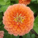 춘천호반체육관 이미지