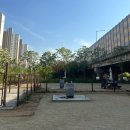 [호두씨네 일상] 수원 호매실동 반려견 놀이터 방문(무료)
