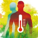 올페이스짐 이미지