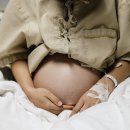 CW-2003-01 이미지