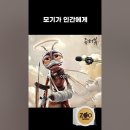 관심을 갖지마~ 이미지