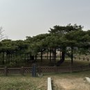 천연 이미지