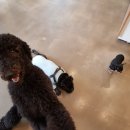 제연동물병원 이미지