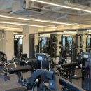 원바디핏 이미지