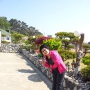 빨강머리 이미지