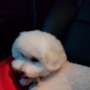 제이그루밍 네이버블로그
