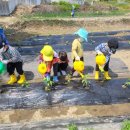 숲속애어린이집 이미지