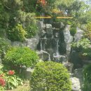 바윗재 백숙 이미지