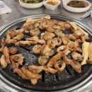 회원동 맛집 마산 불막열삼 회원점 막창이 맛있는집