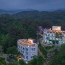 지오 파인트리 이미지