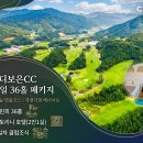 디에이온