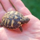 사당동물병원 이미지