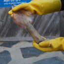 대웅축산 이미지