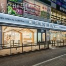 비전동물병원 네이버블로그