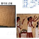 시흥매화고등학교 이미지