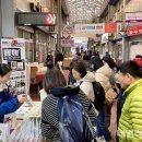 5063 데일리한국