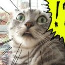 유한회사 에스엘케이파트너 | [공지] 진정한 시스템소득을 찾기위해 알아본 애터미(내삶기준)