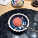 스시코 티스토리