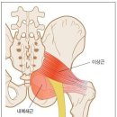 이상근 스트레칭 이미지