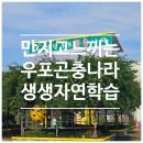 우포2로 | 창녕 우포 곤충나라 체험 후기 자연과 친구가 되는 시