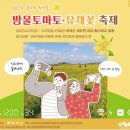 부여 세도 유채꽃밭 이미지