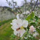 용이네 농장 이미지