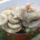 금화가든 이미지