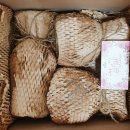 조브로스 이미지