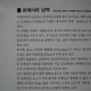 샤르 이미지