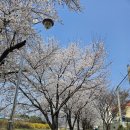 멍이하루 이미지