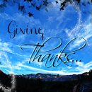 The 건강나무 이미지