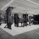 프로 짐 이미지