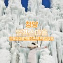 다인영농조합 | 청양 알프스마을 축제 예약 주차 눈썰매 입장권 할인(칠갑산 얼음분수축제)
