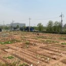 김은희농장 이미지