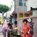 사직1동-1 이미지