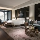 파라디소 이미지