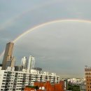 세운버스 이미지