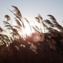 석모도바람길 이미지