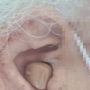 시그니아독일보청기남포센터 이미지