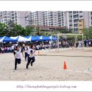 대구강동초등학교 이미지