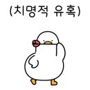 케이만물상