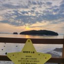 님 바래기 이미지