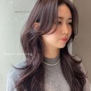 메르시모몽 네이버블로그
