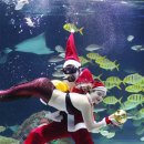 황금아쿠아 이미지