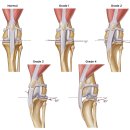 나루메디칼 이미지