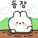 클린디치과의원 이미지