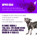 하동동물병원 이미지