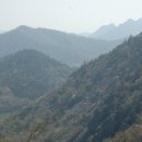 지용산인 네이버블로그
